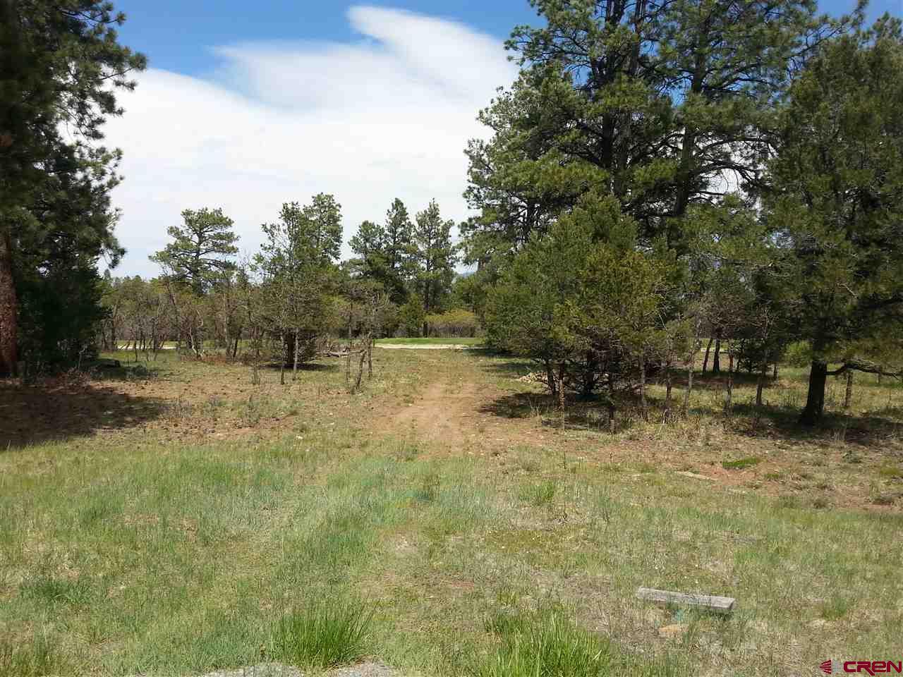 274 Puma Lane - Photo 1