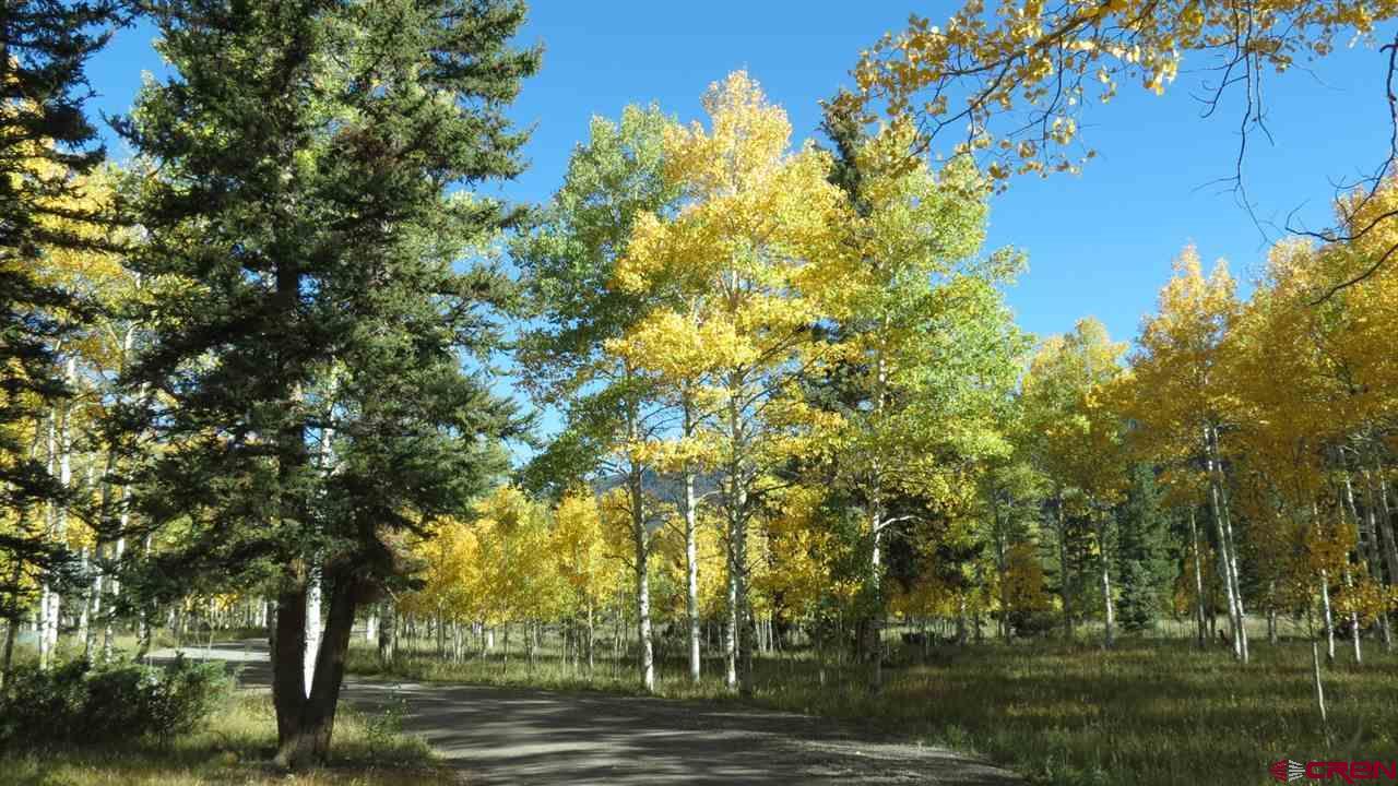 Lot 26 Quail Ridge - Photo 1
