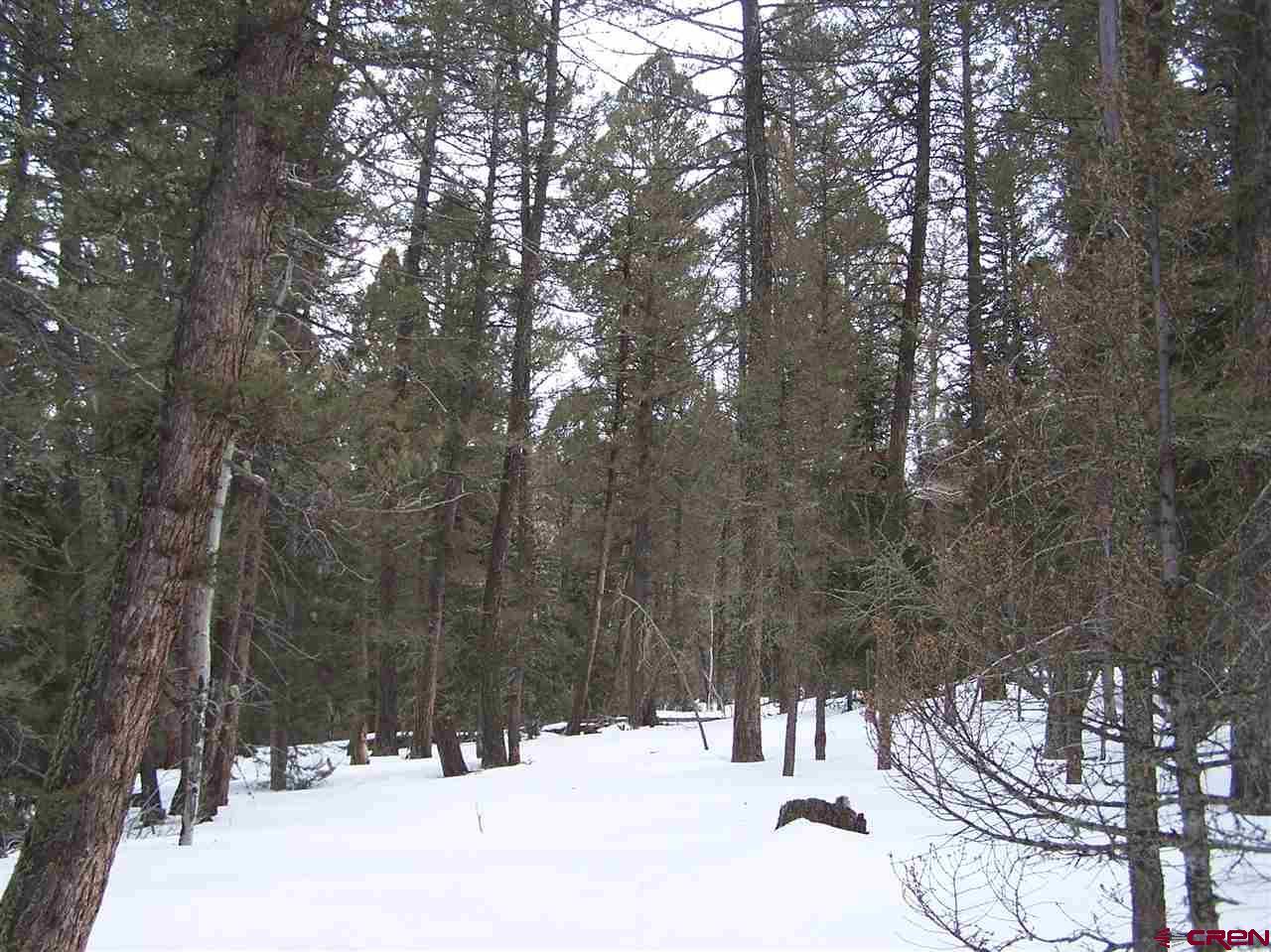 762 Crest Drive - Photo 1