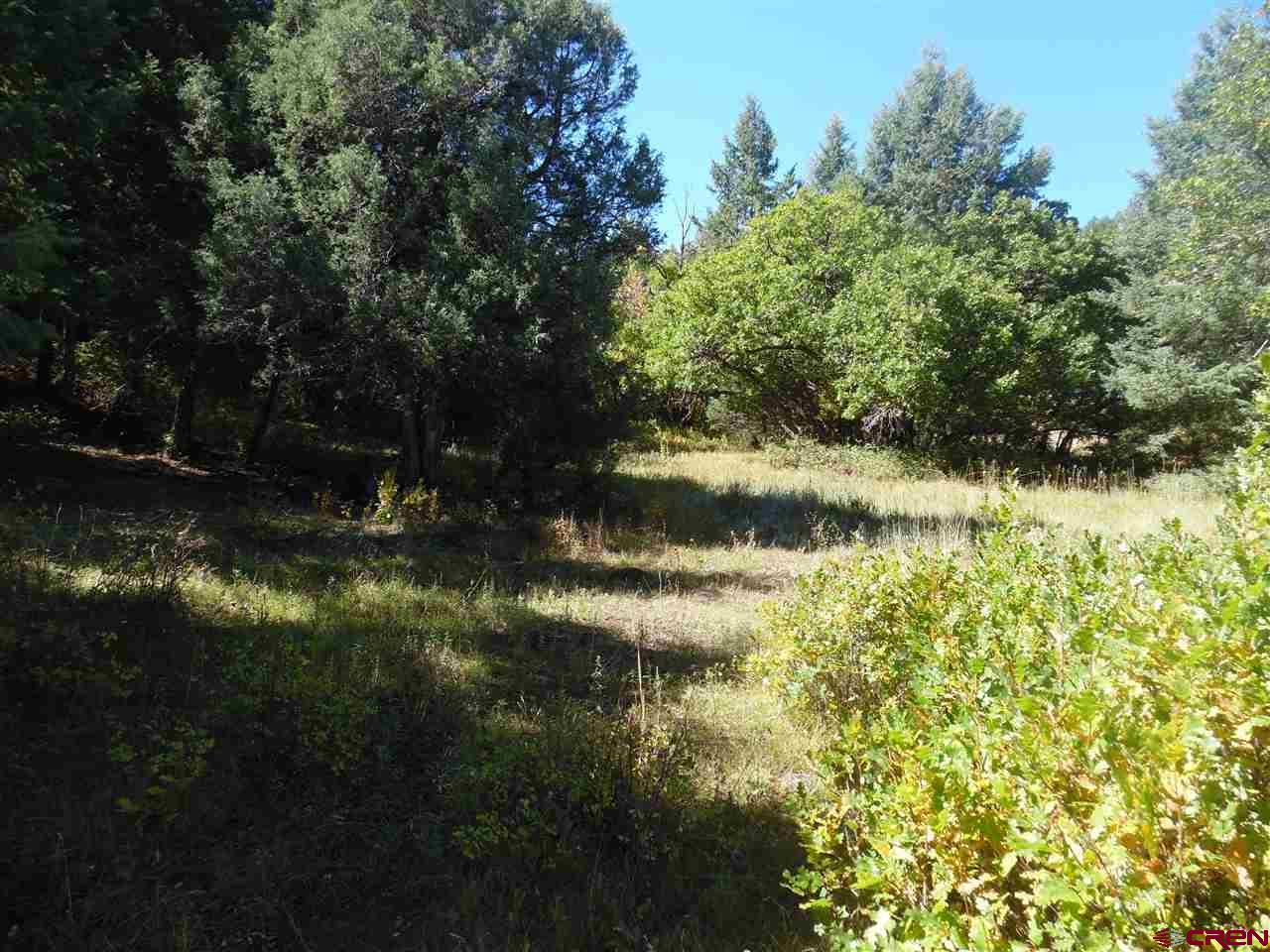 1201 Trails Boulevard - Photo 1