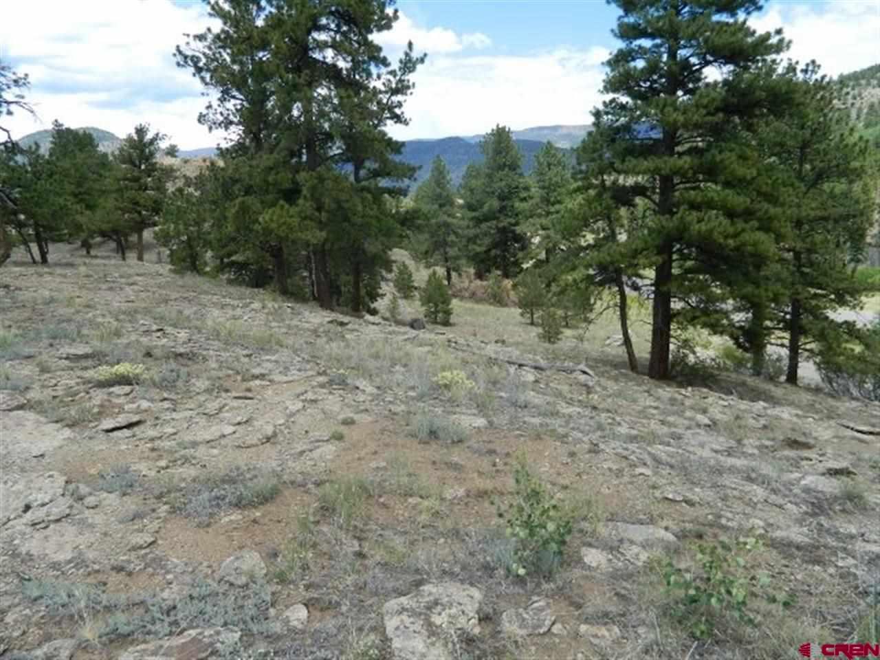 0534 Church Creek Drive - Photo 1