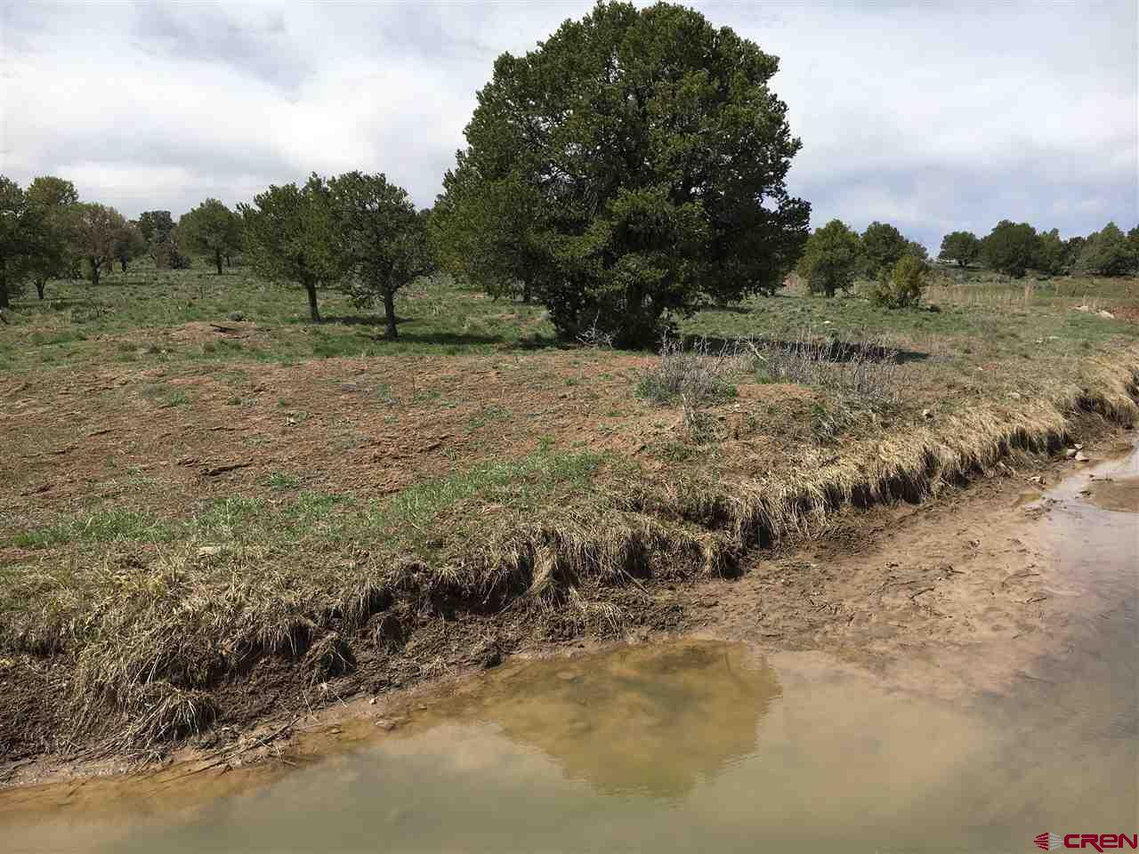 TBD County Road 311 - Photo 1