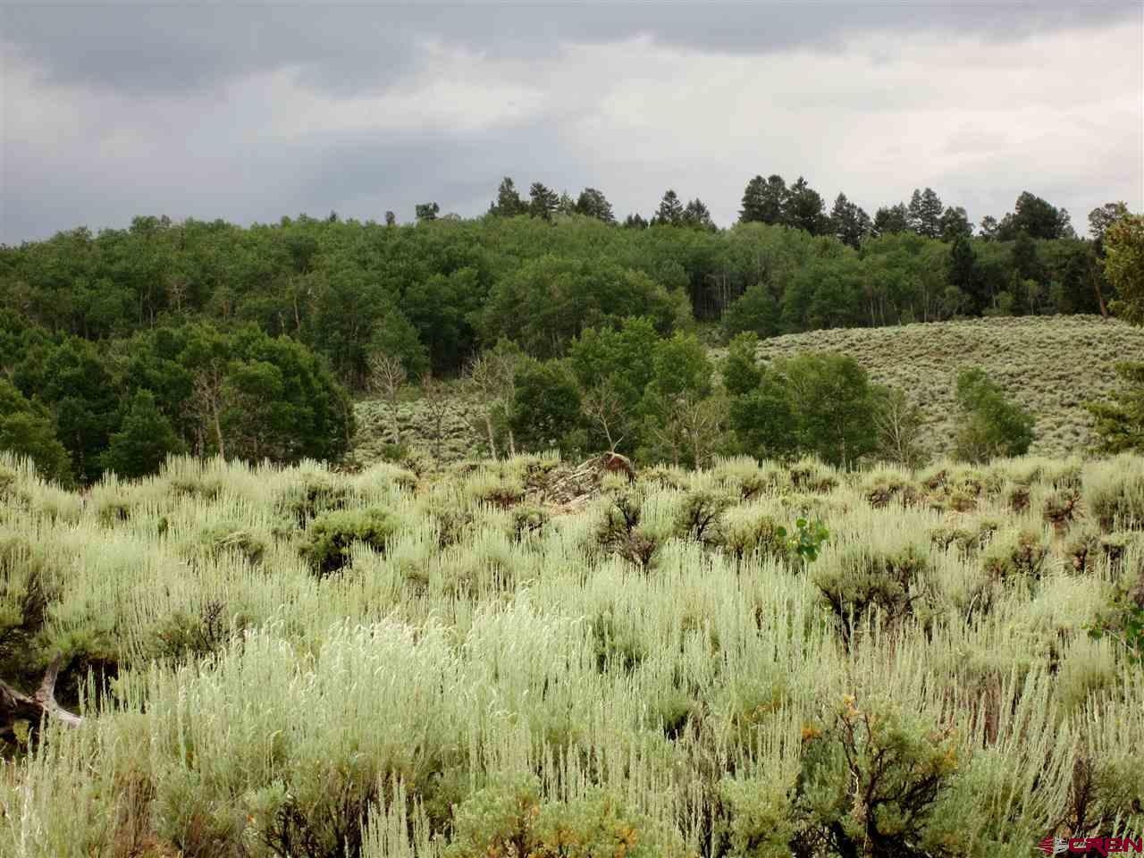 Blm road 3063 Road - Photo 1