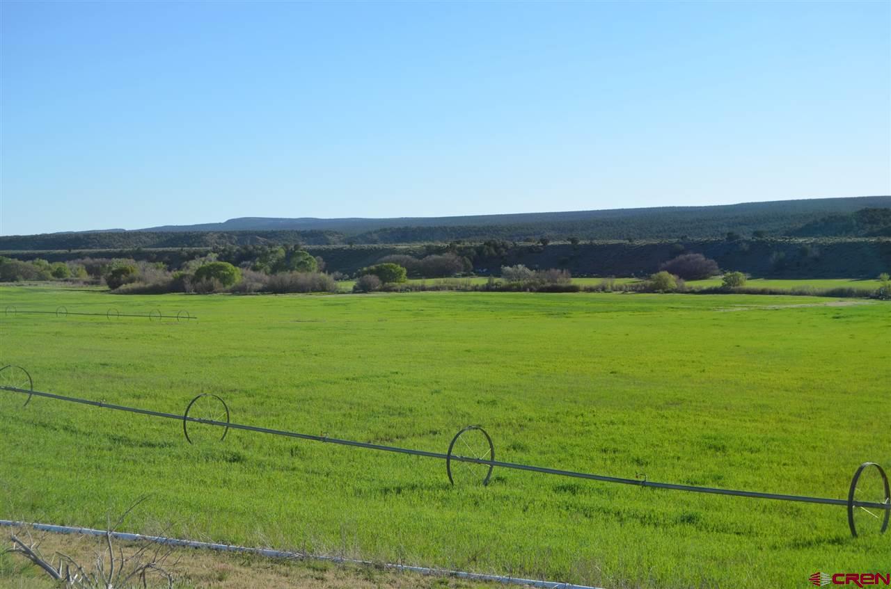 1705 Hwy 140 - Photo 1