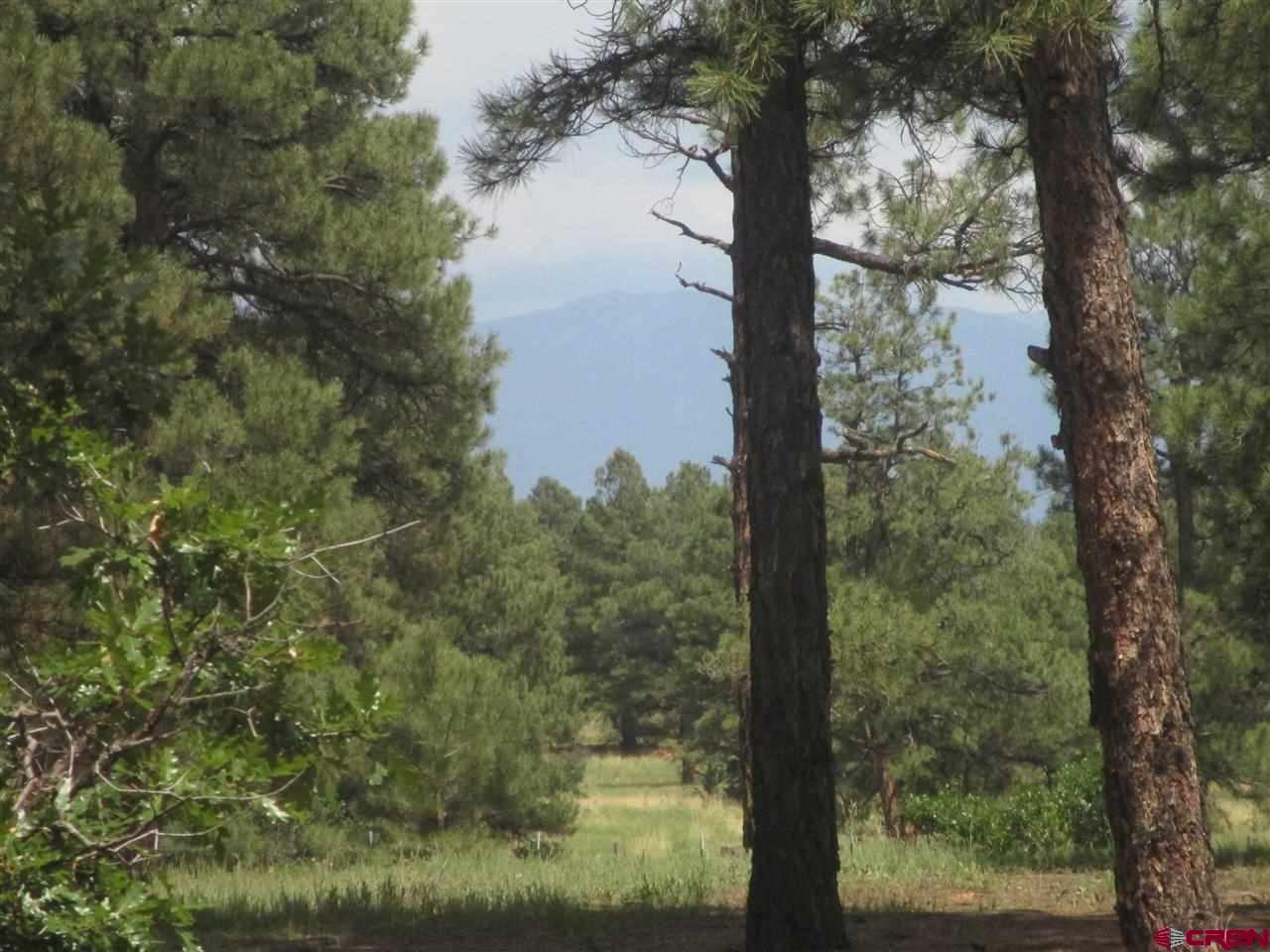 X Colorado Place - Photo 1