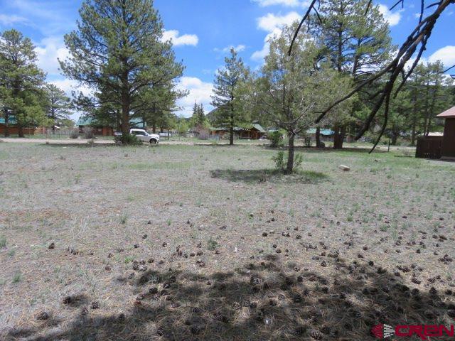 85 Bristlecone Drive - Photo 1