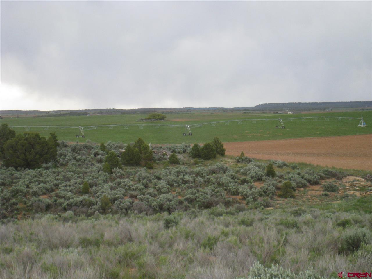 12866 Road 8 - Photo 1
