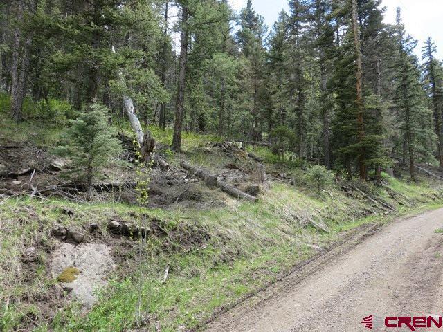 TBD Clarke Lane - Photo 1
