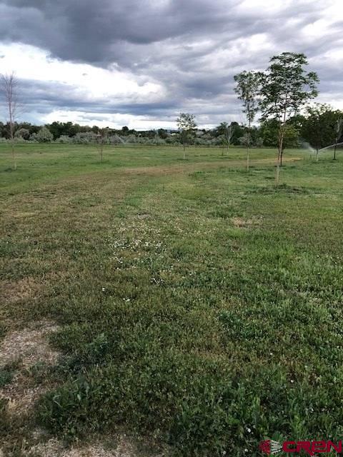 25184 Road N.8 Loop - Photo 1
