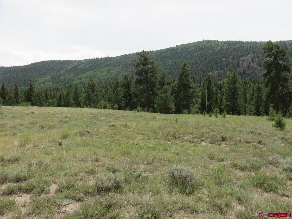 Lot 158 Bear Creek - Photo 1