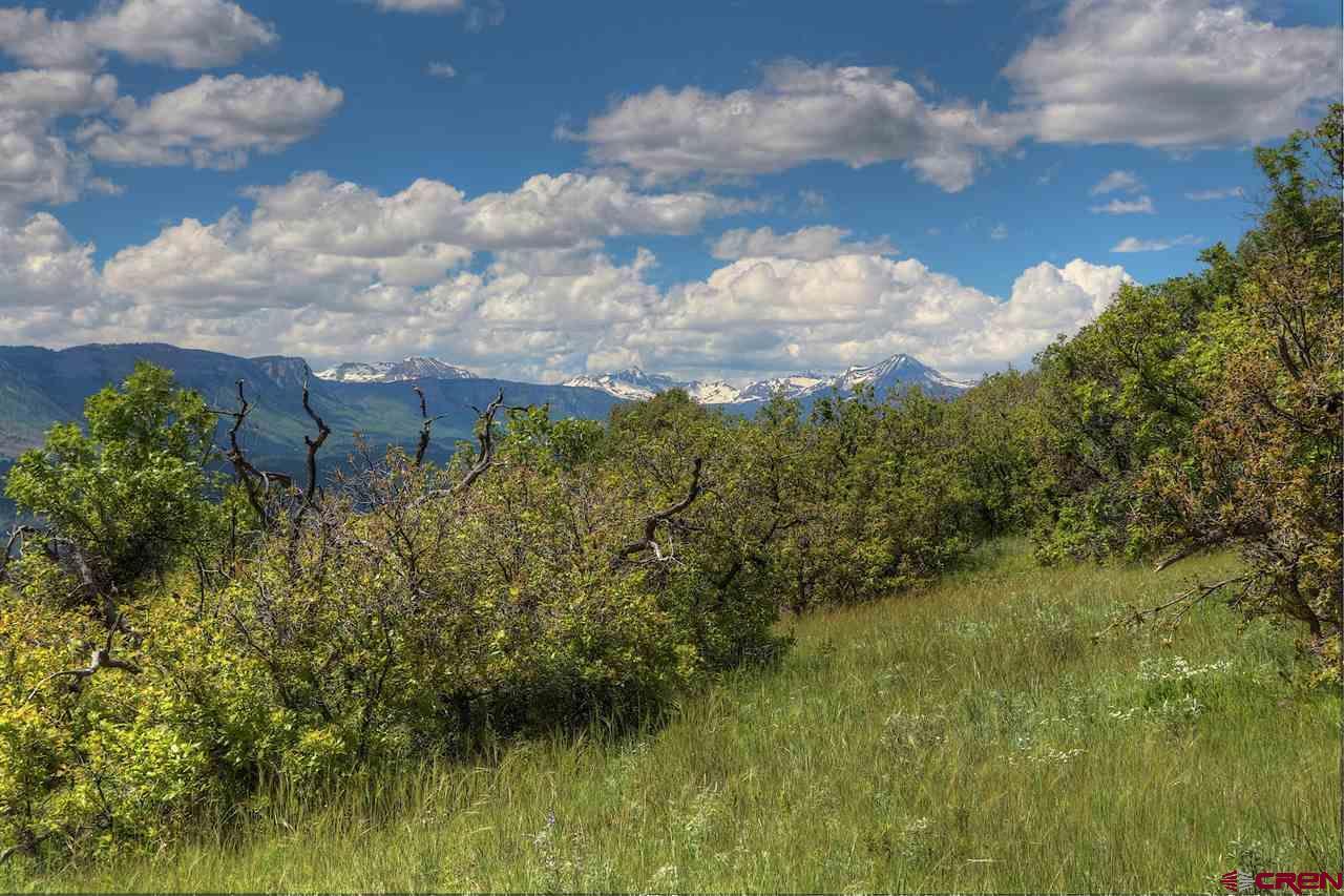 991 Purple Sage Road - Photo 1