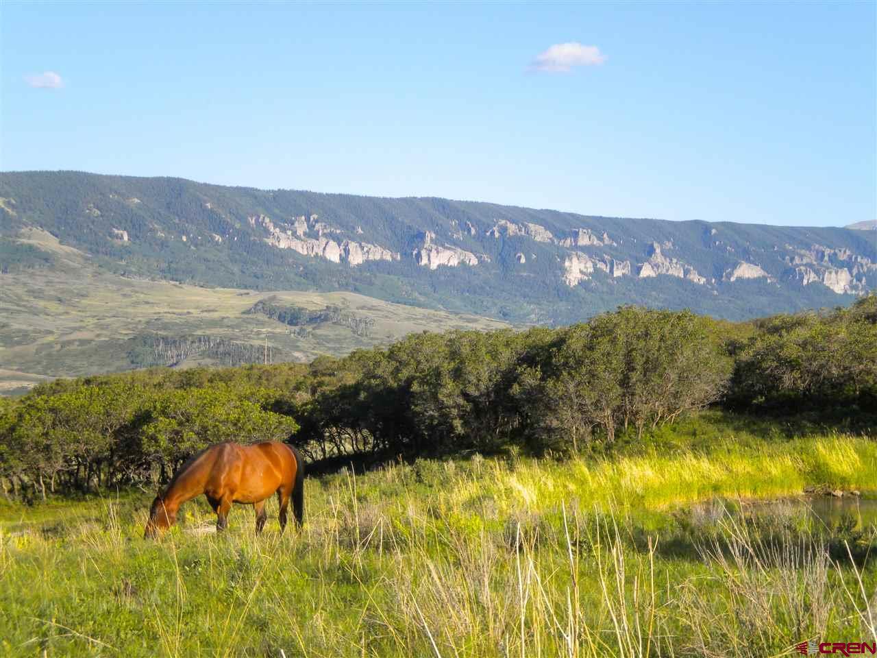 tbd P77 Road - Photo 1