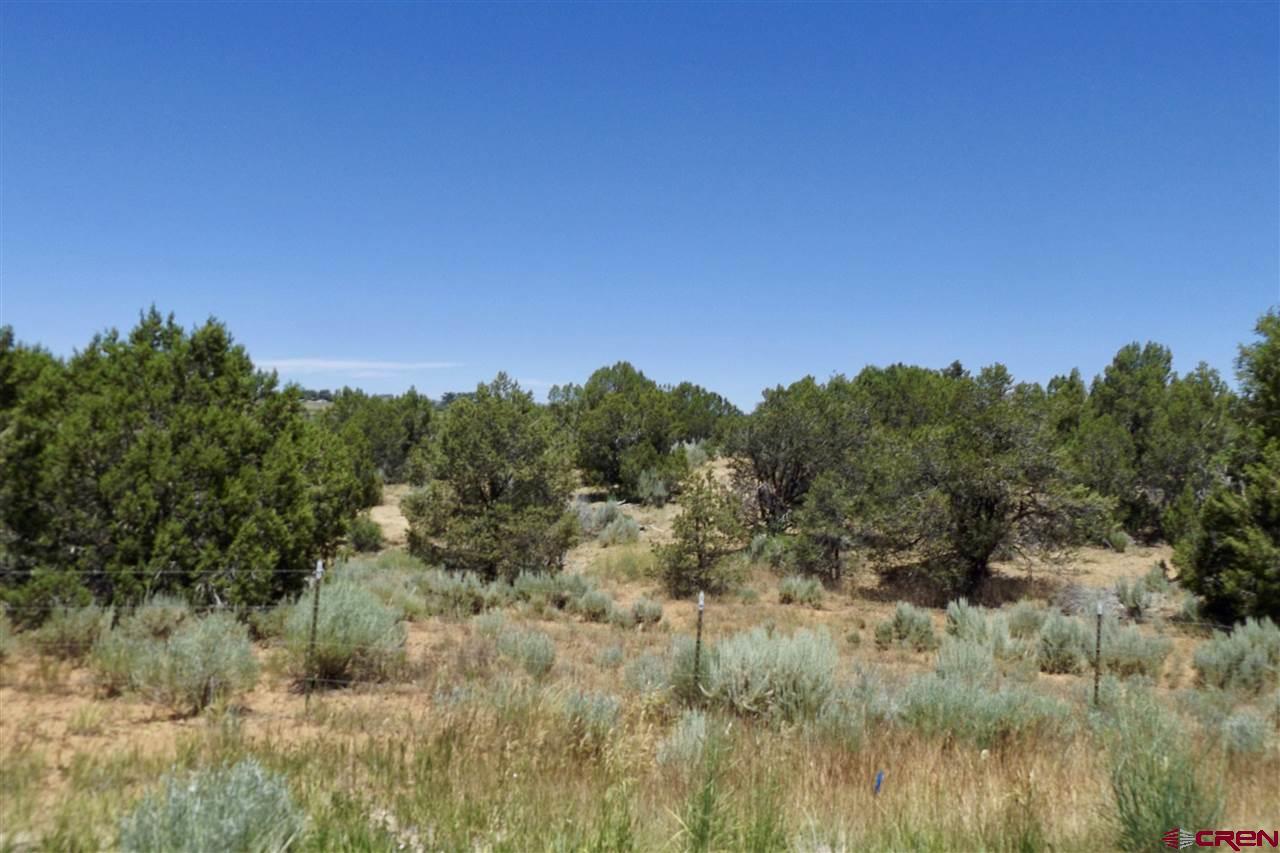 TBD Road N - Photo 1