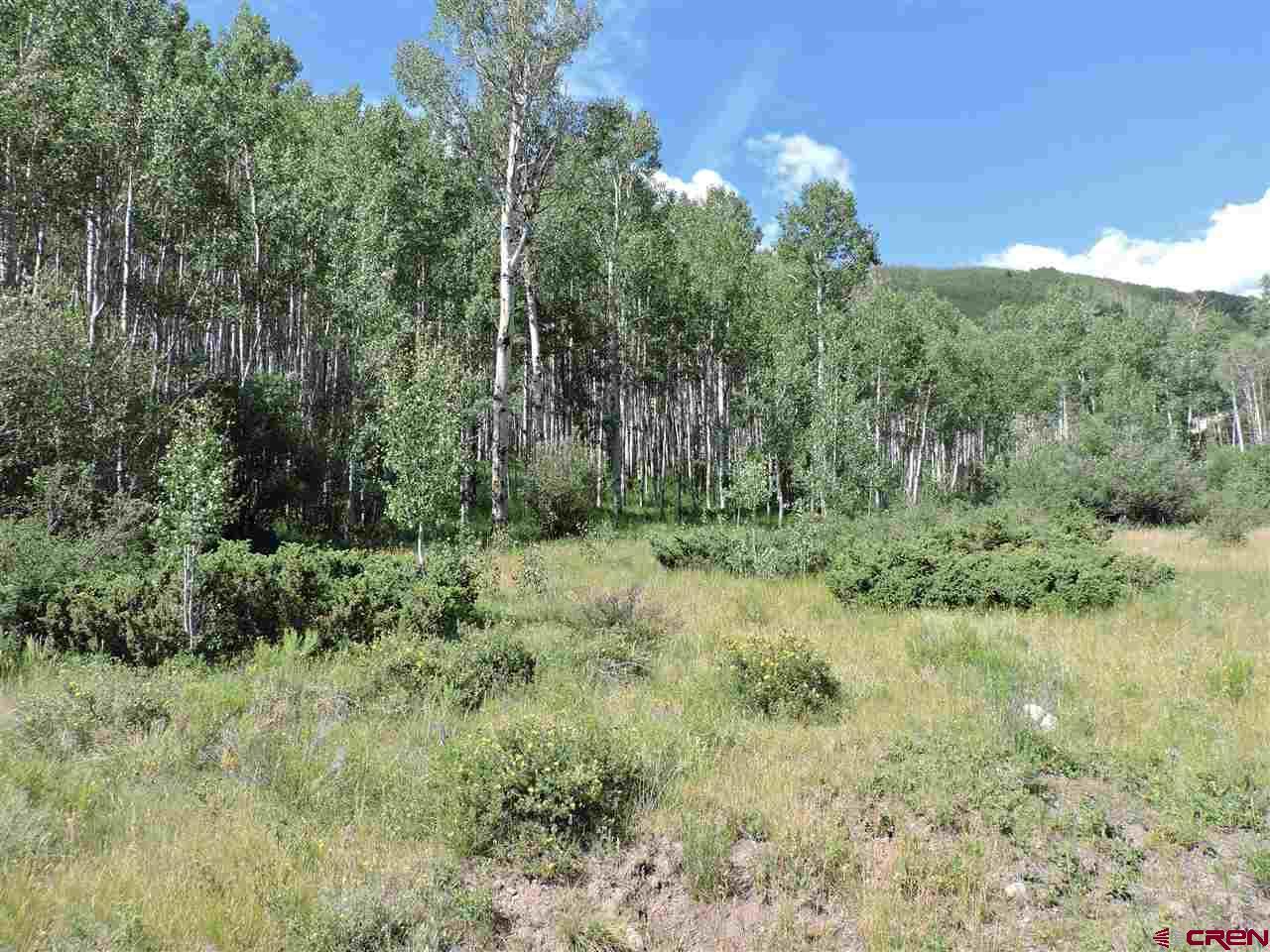 Elk Meadow Run - Photo 1