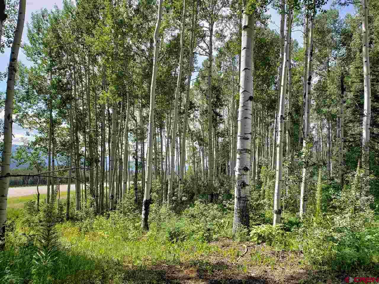 81 Scotch Creek Drive - Photo 1