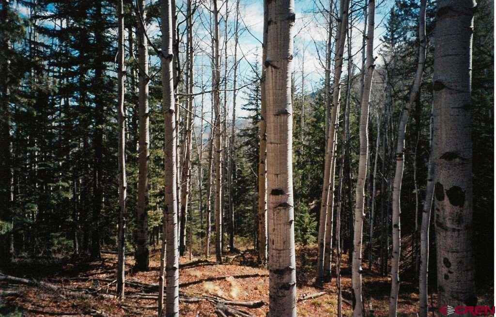 8210 30 County Road - Photo 1