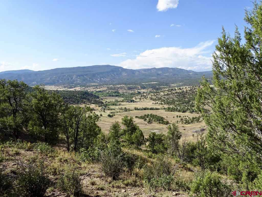 557 Carracas Canyon Road - Photo 1