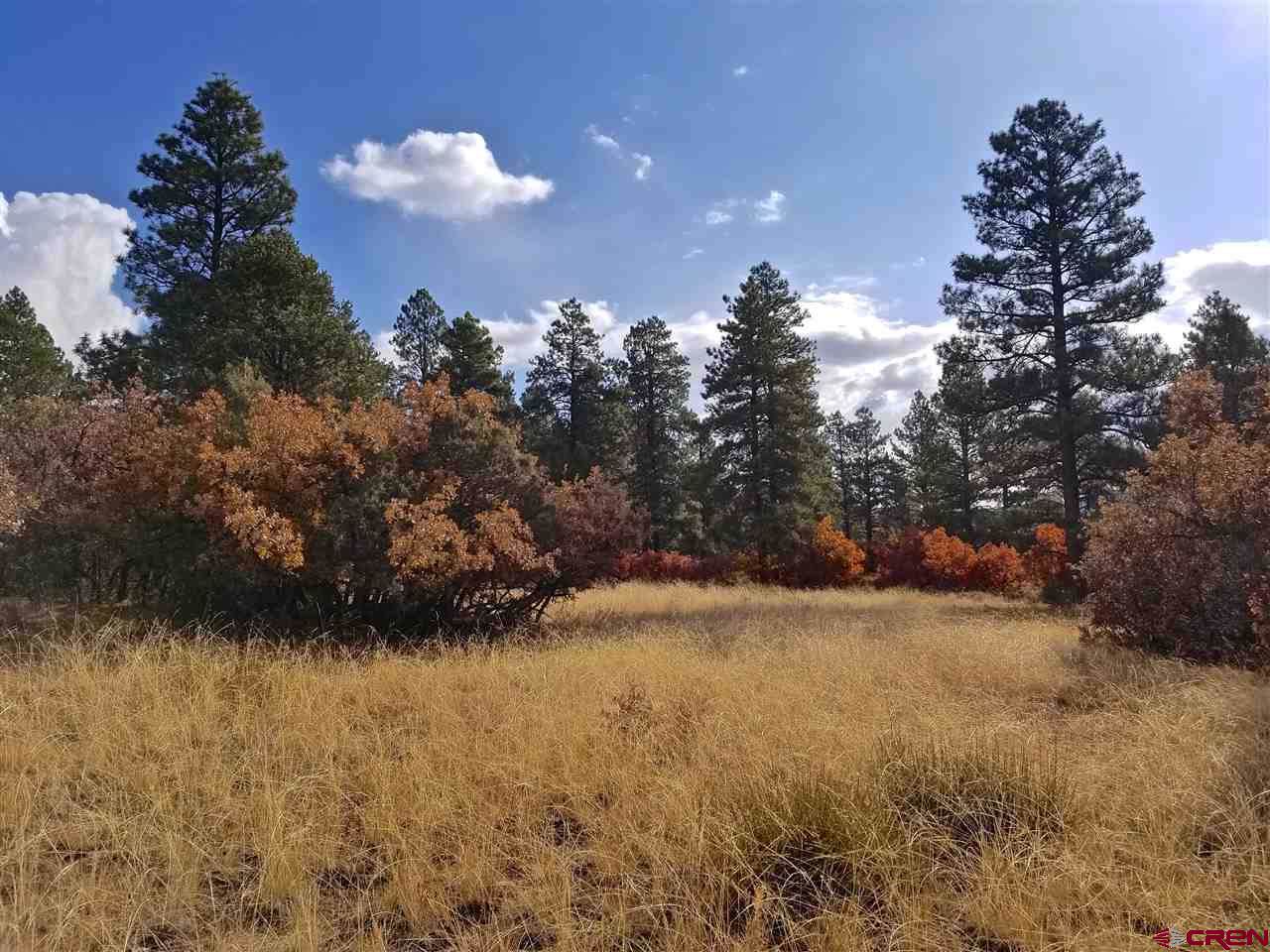 TBD Rendezvous Trail - Photo 1