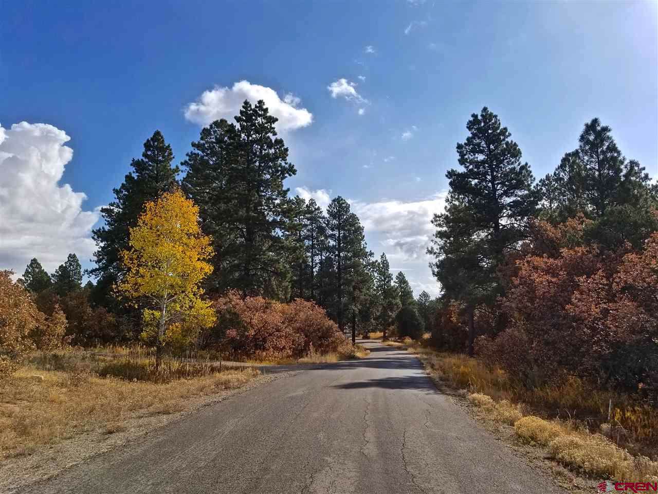 TBD Rendezvous Trail - Photo 1
