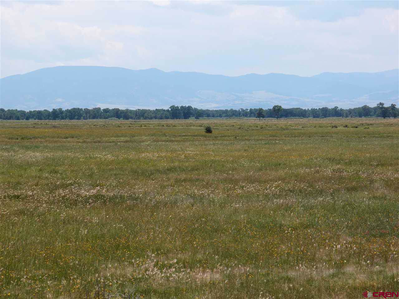 00 County Line Road - Photo 1
