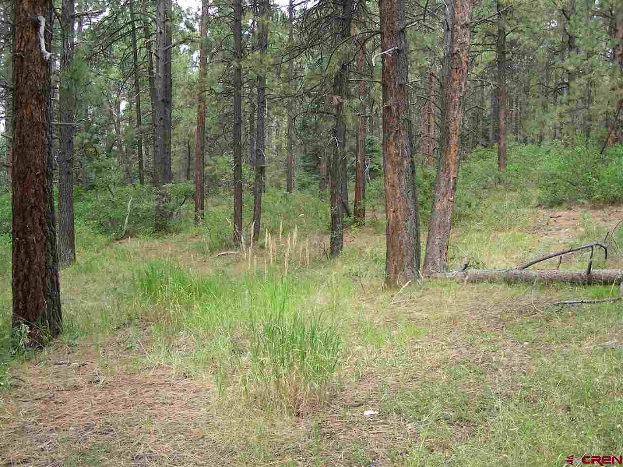 562 Sierra Circle - Photo 1