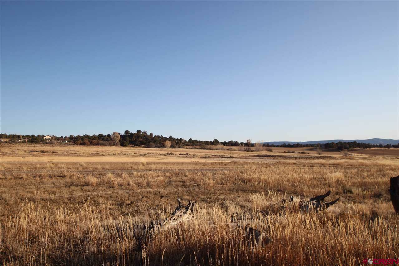 TBD, Lot C County Road 510 - Photo 1