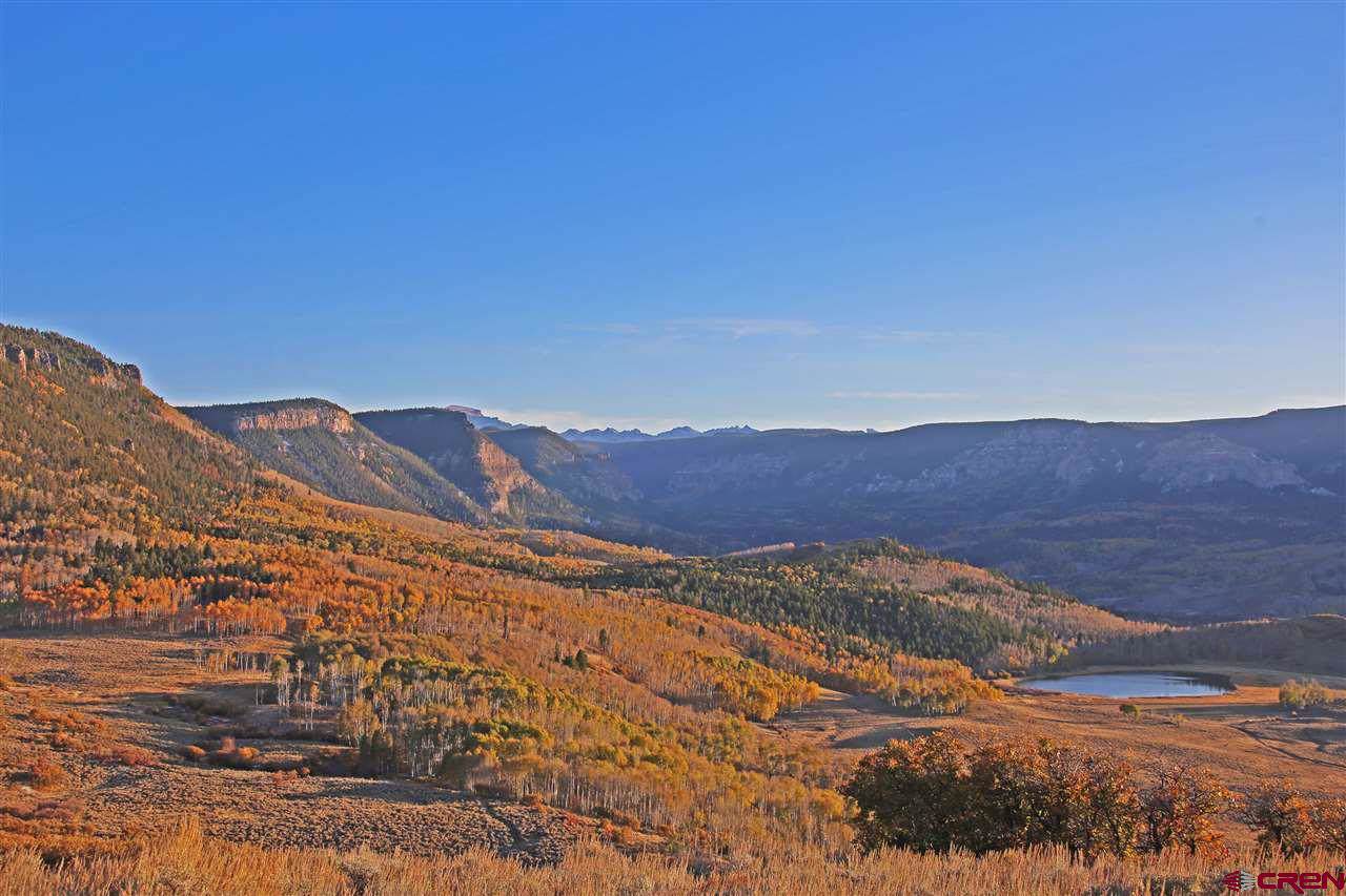 1597 Highway 50 - Photo 1