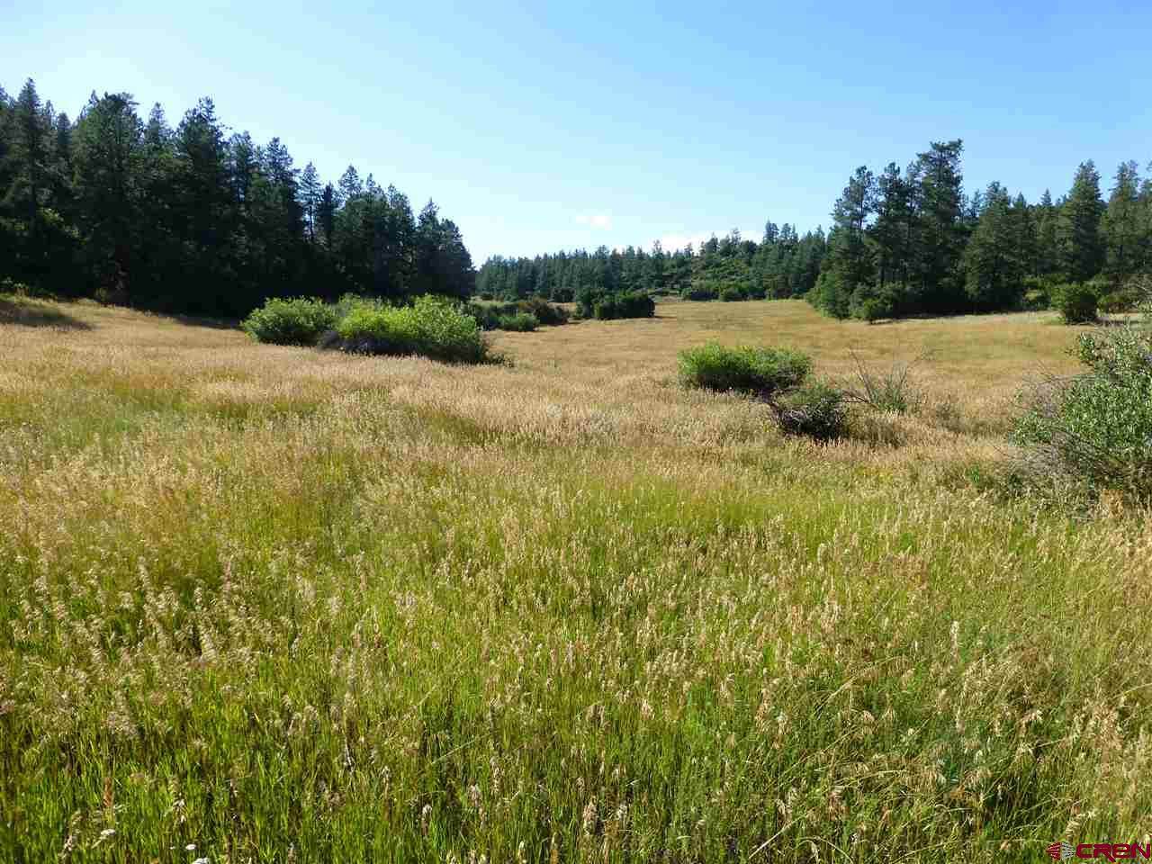 X 1 County Road 193 - Photo 1