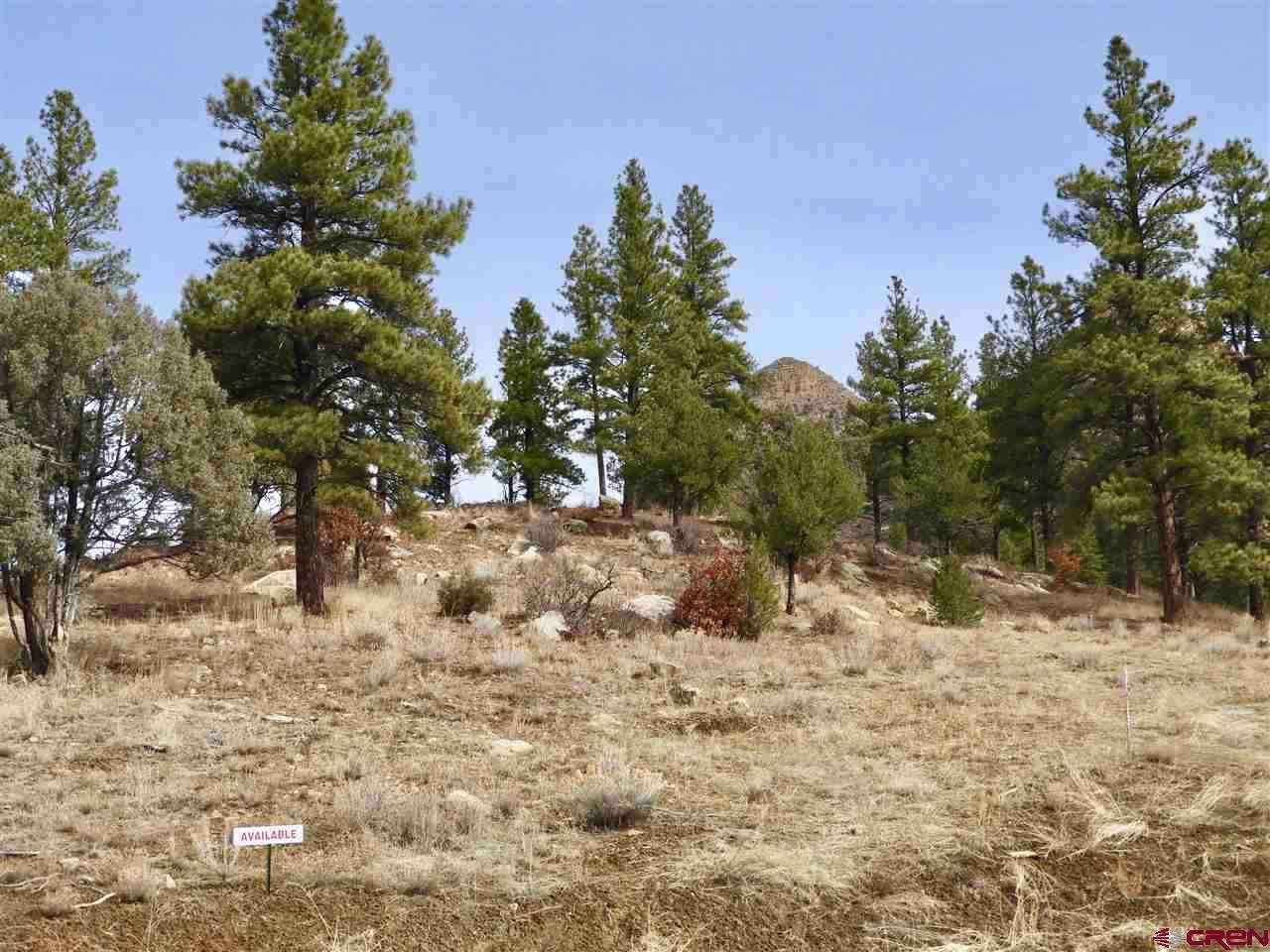 (Lot 13) 73 Larkspur Street - Photo 1