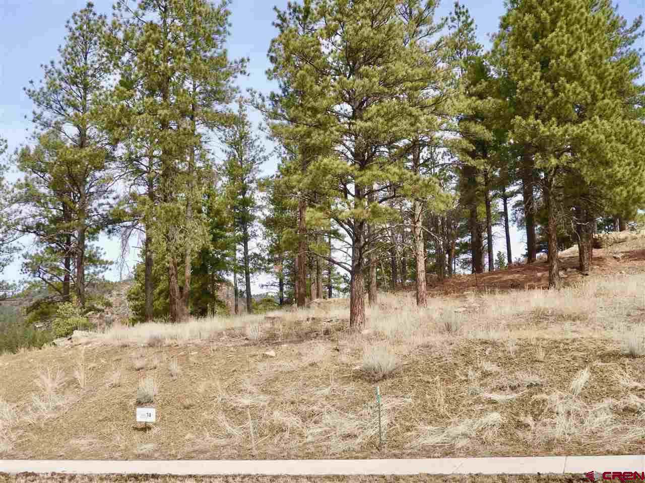 (Lot 14) 55 Larkspur Street - Photo 1