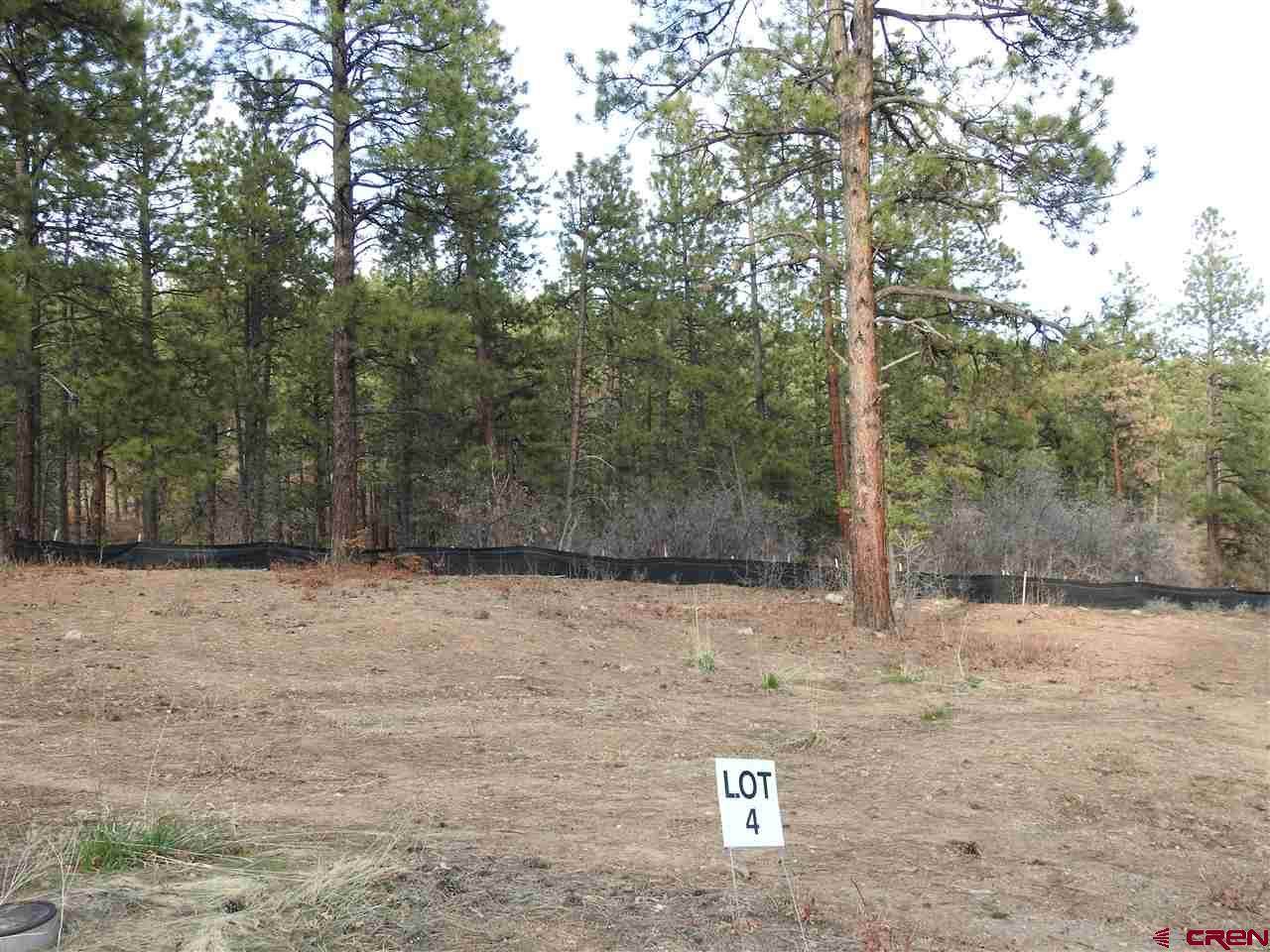53 Canyon Pines (Lot 4) Place - Photo 1