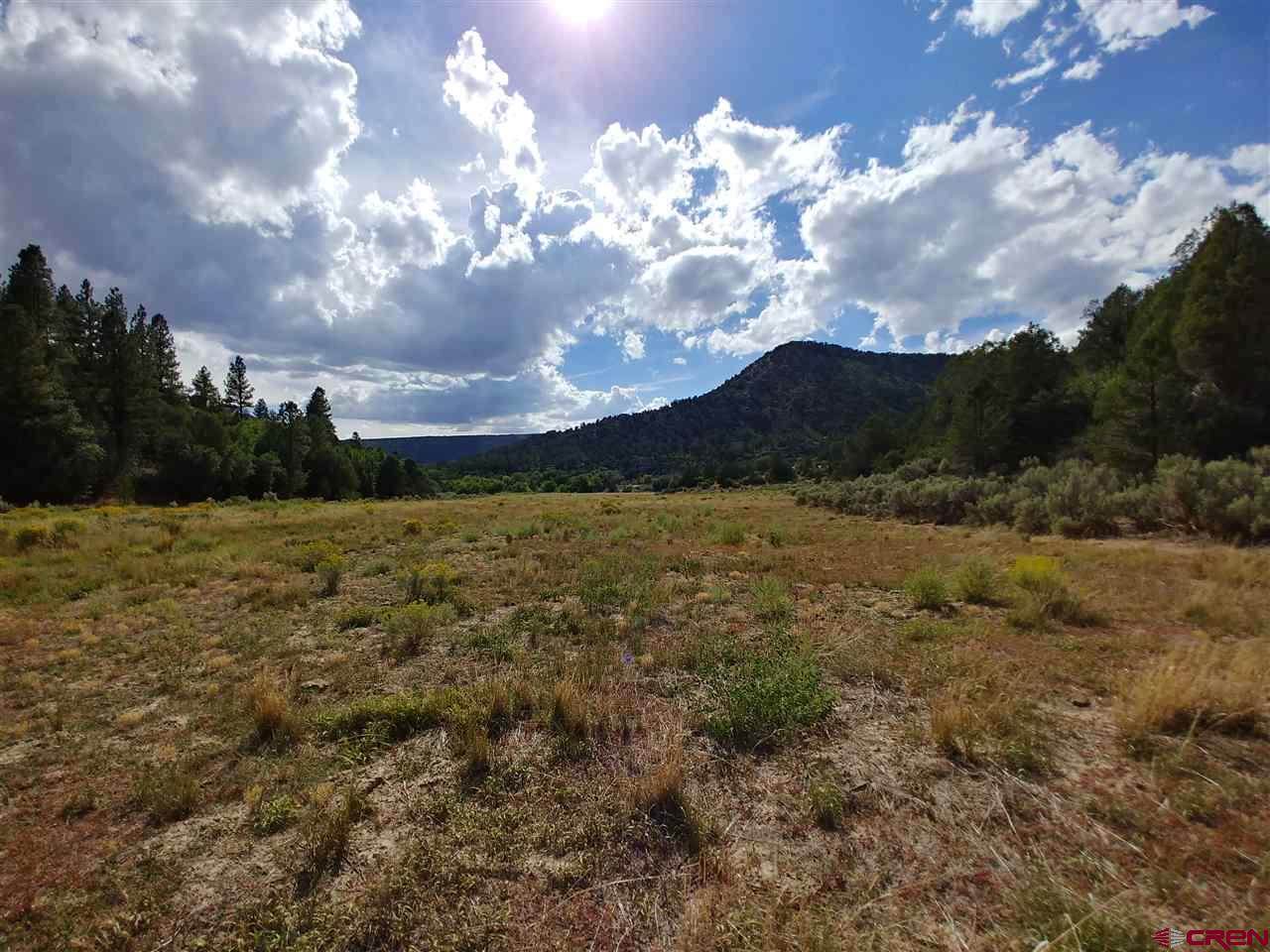 60 Shasta Trail - Photo 1