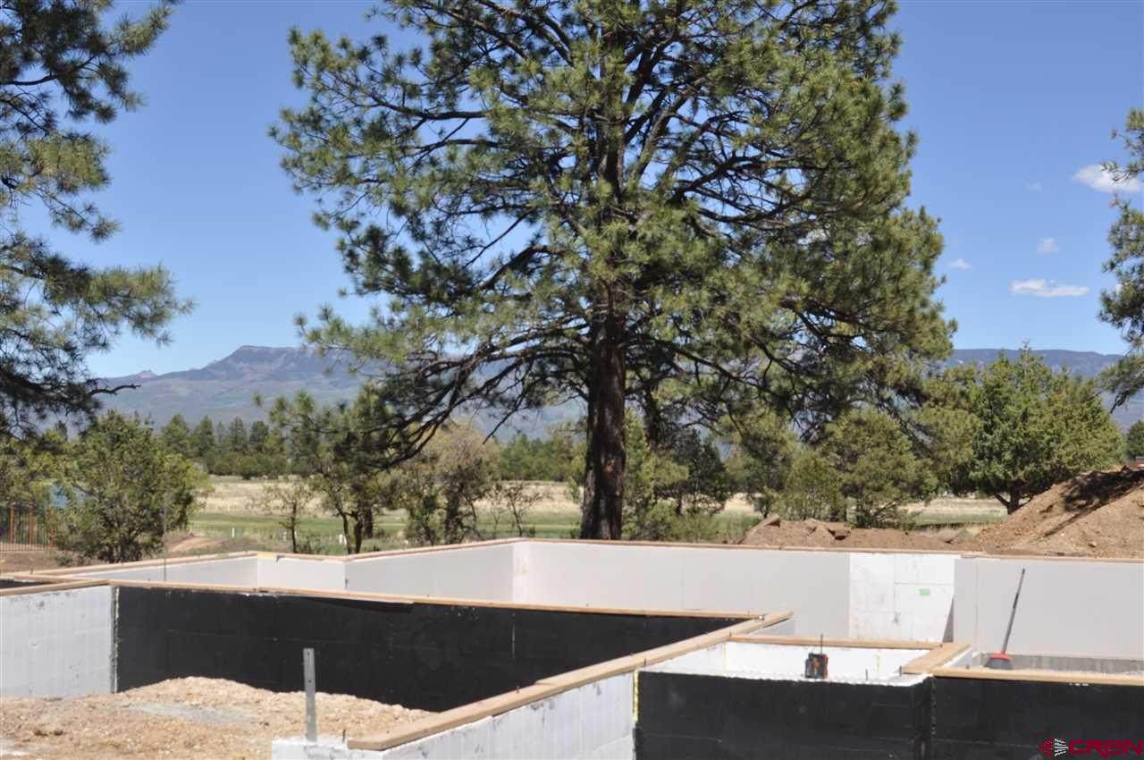 558 Badger Trail - Photo 1 558 Badger Trail - Photo 1