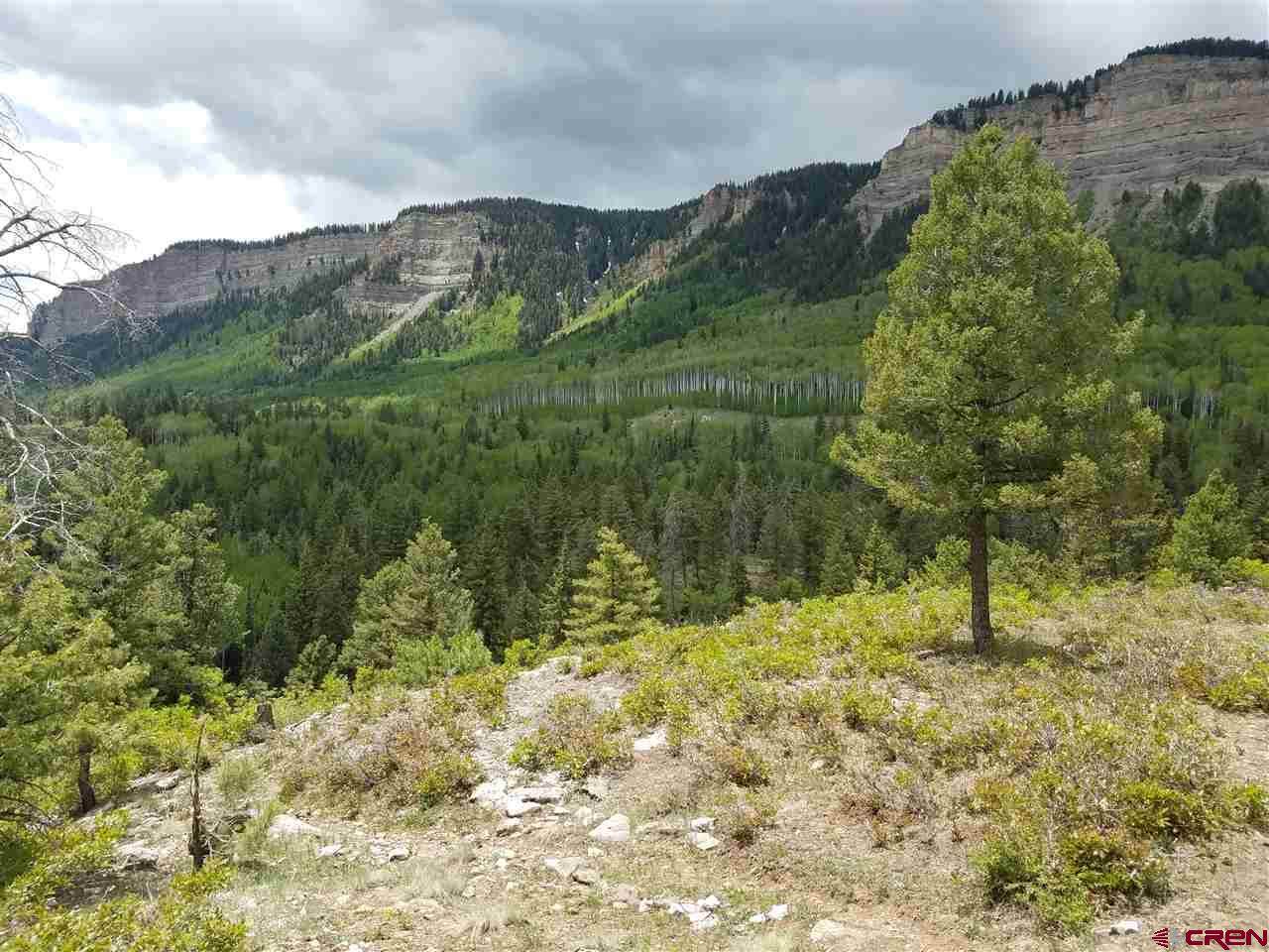 367 Two Dogs Trail - Photo 1