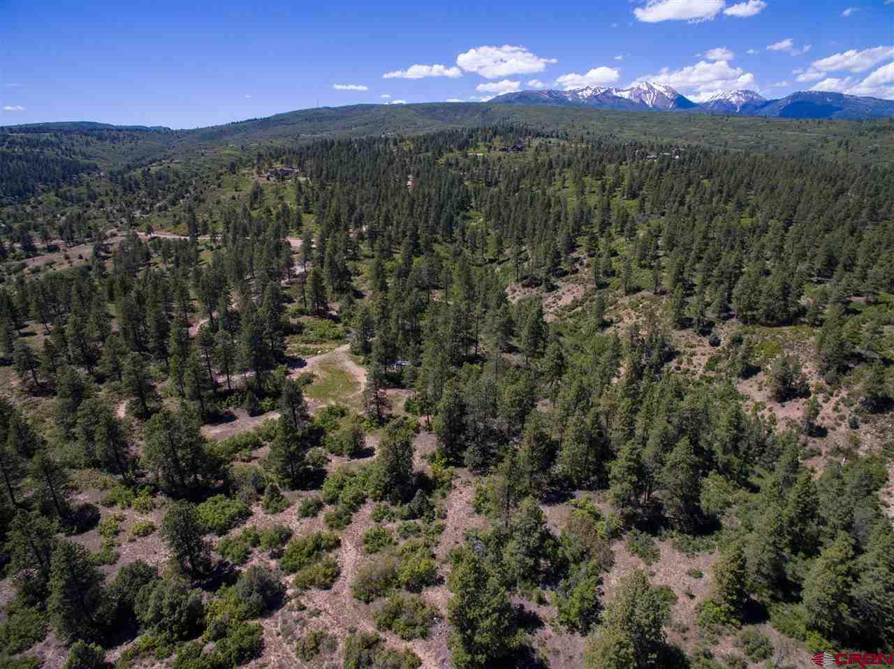 1102 Sheep Springs Road - Photo 1