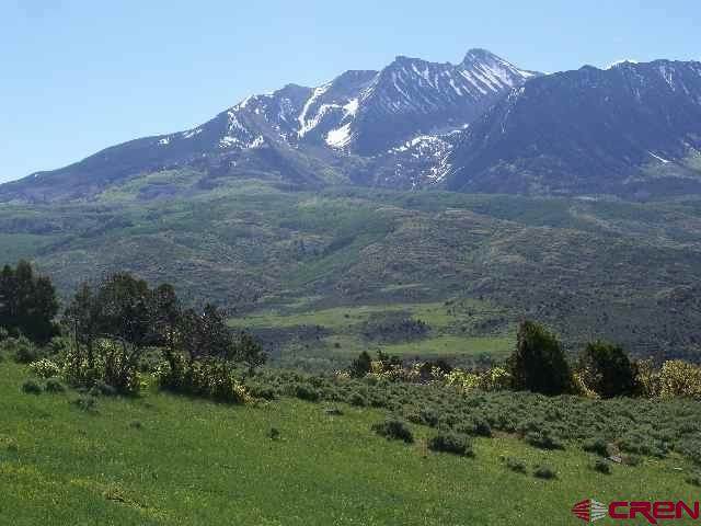 TBD County Road 265 - Photo 1