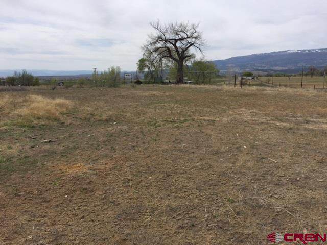 1685 Grand Mesa Drive - Photo 1