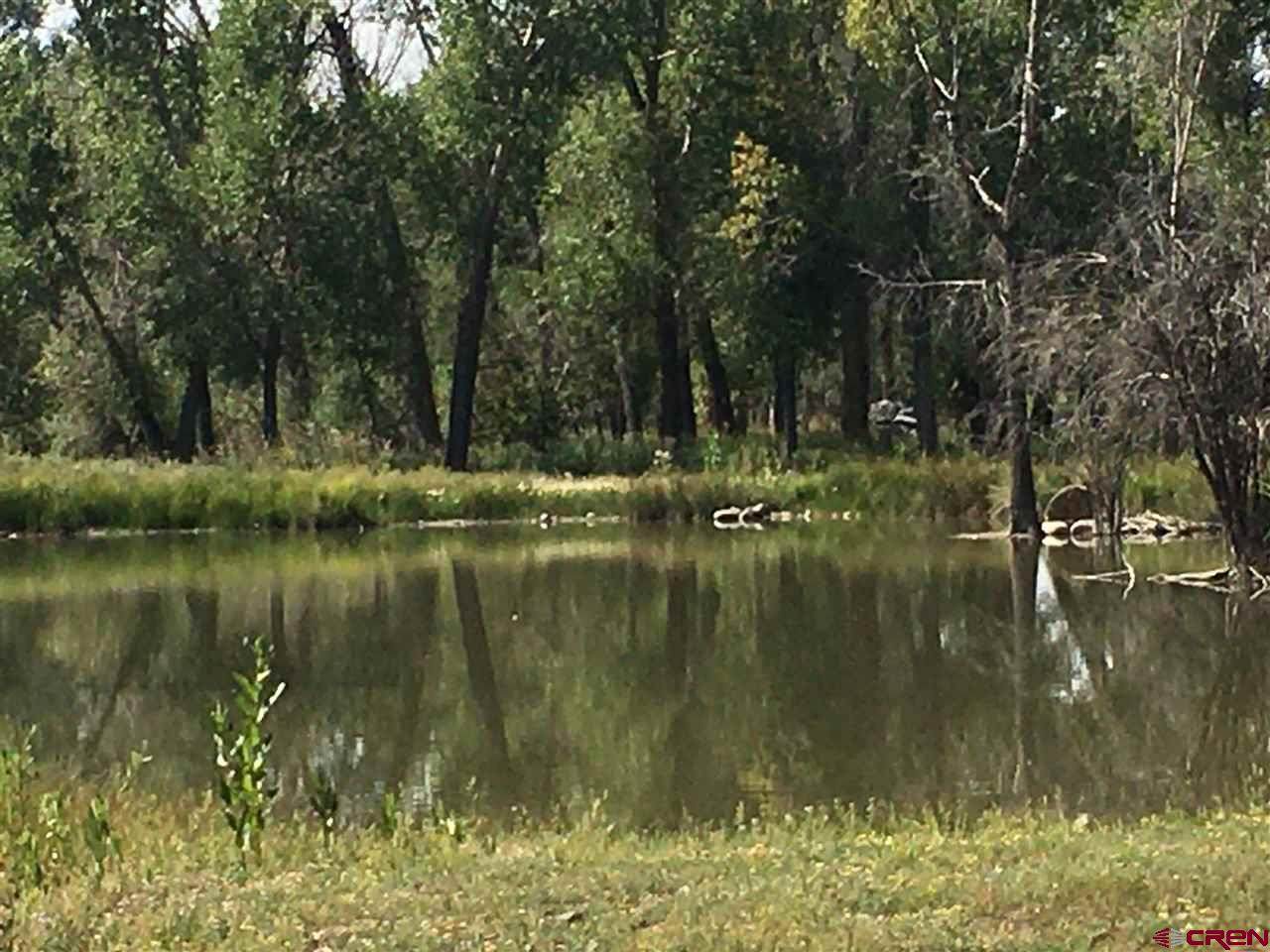 947 River Rock Drive - Photo 1