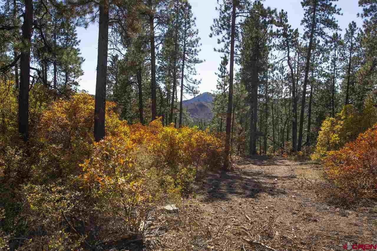 415 Edgemont Highlands Boulevard - Photo 1