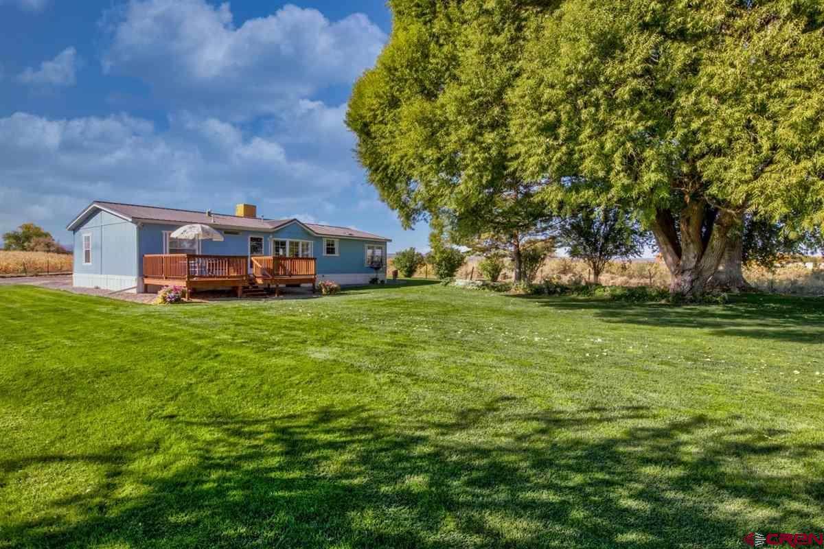 55358 Dahlia Road - Photo 1