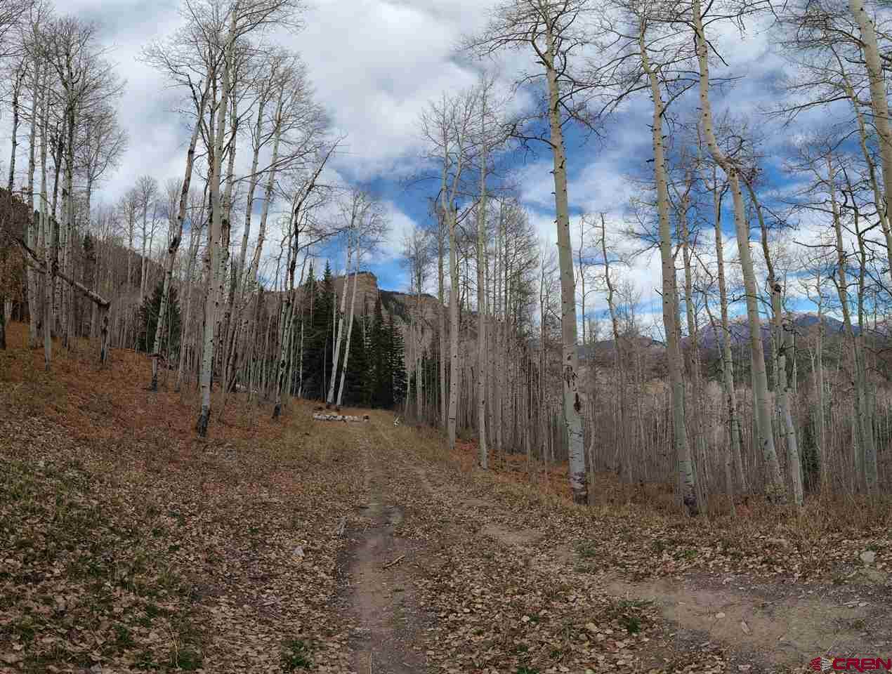 520 Long Story Road - Photo 1