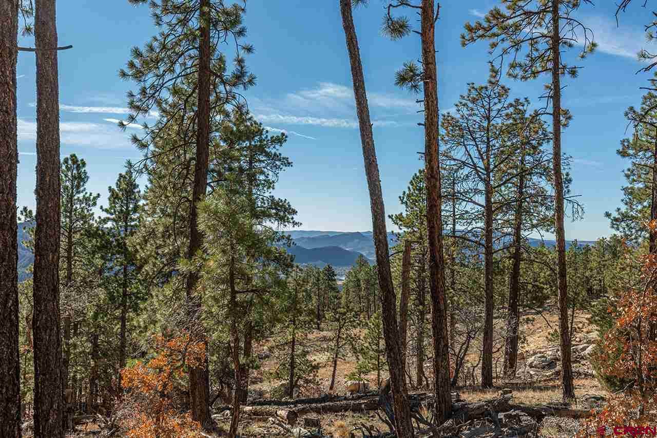 2393 Durango Cliffs - Photo 1