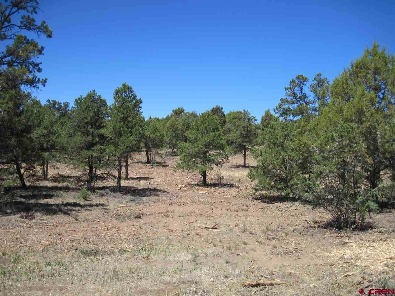 TBD L3 Squaw Apple Road - Photo 1