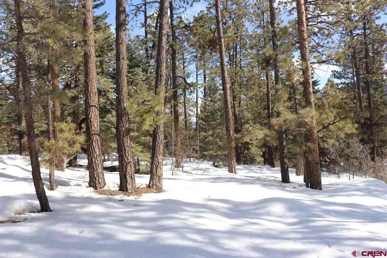 TBD Sierra Drive - Photo 1