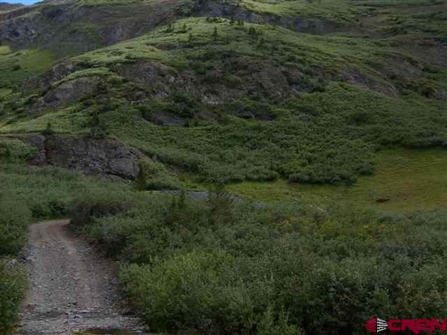 TBD Stoney Pass Road - Photo 1