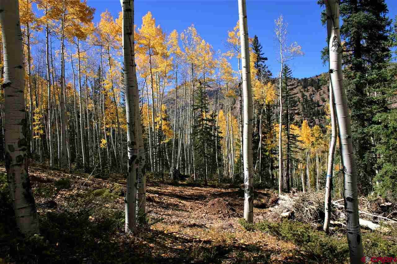 6 Alpine Vista - Photo 1