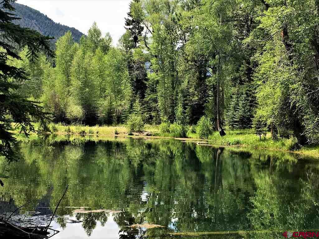 tbd Highway 149 (San Juan Meadows) - Photo 1