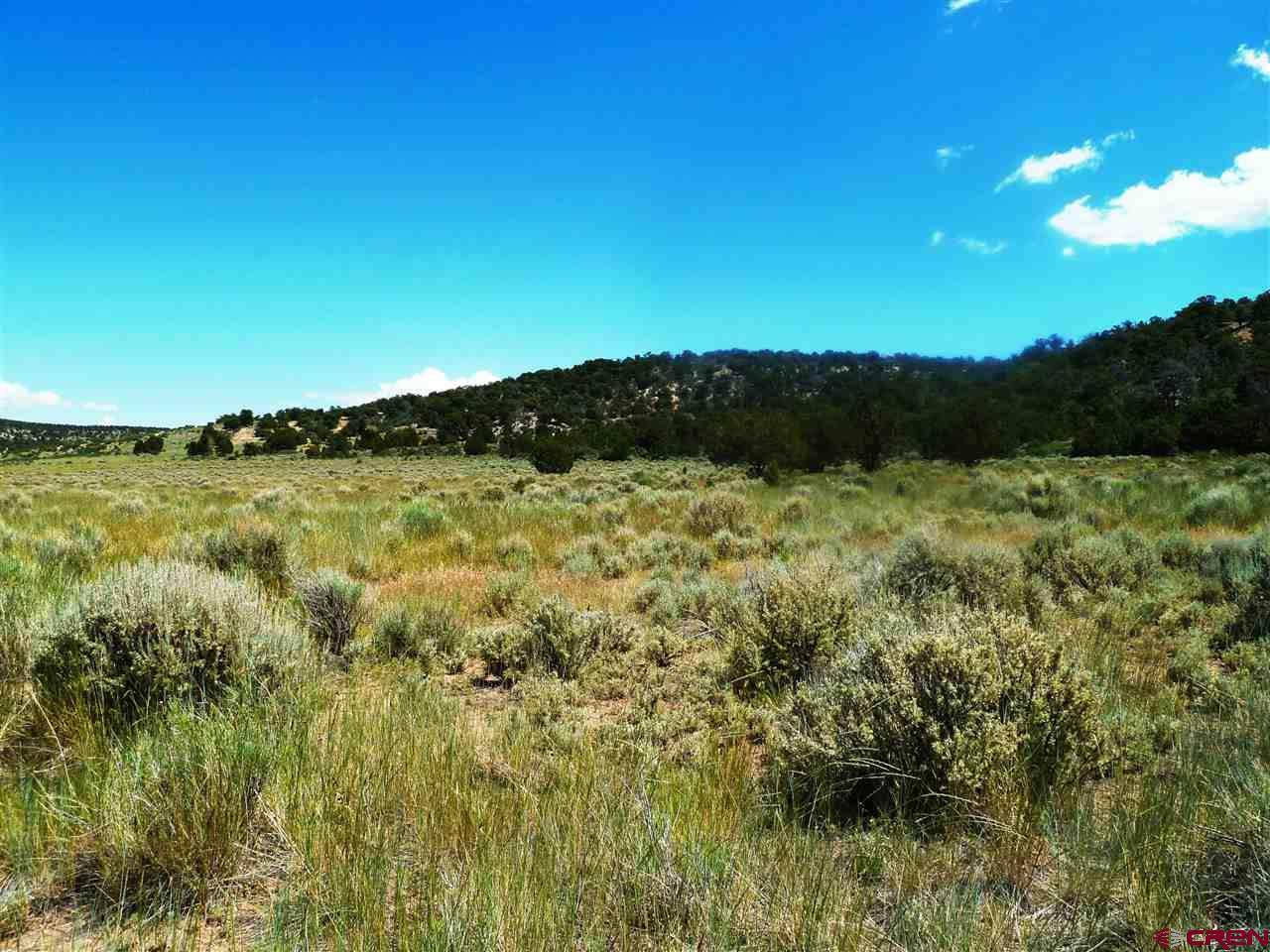 Lot 54 Masters Ranch Drive - Photo 1