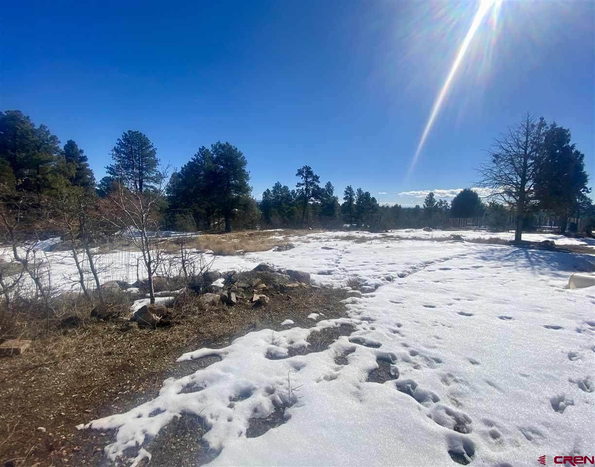 20 Pine Ridge Road - Photo 1