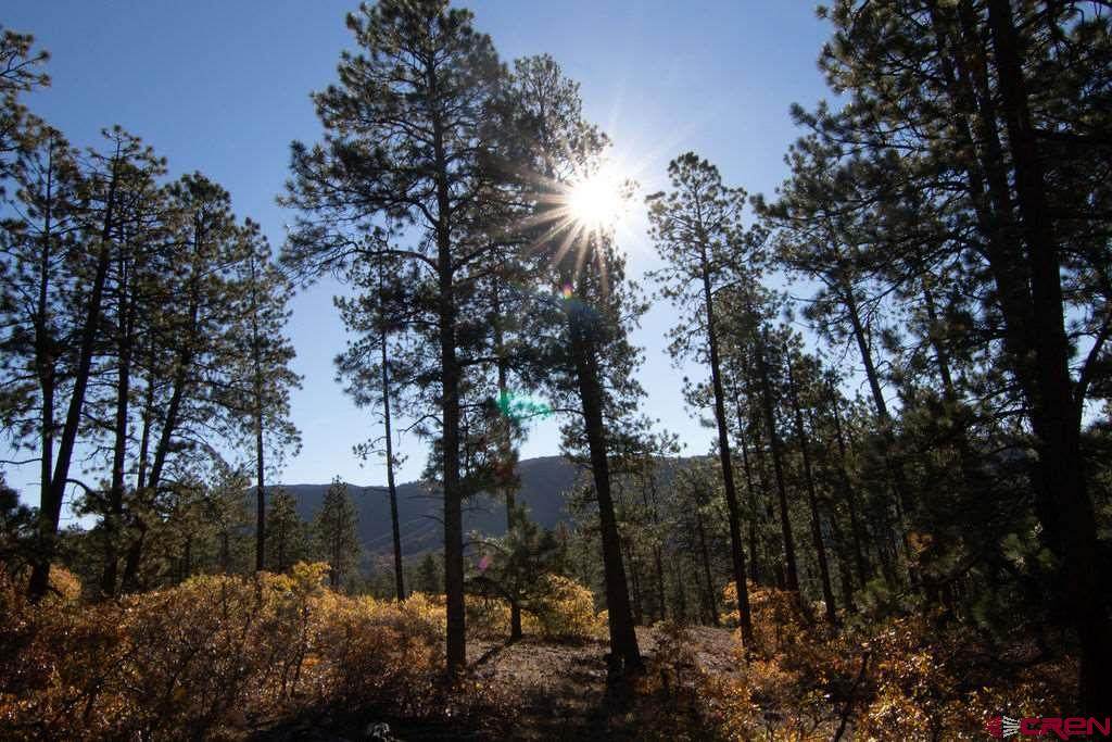 910 Red Canyon Trail - Photo 1